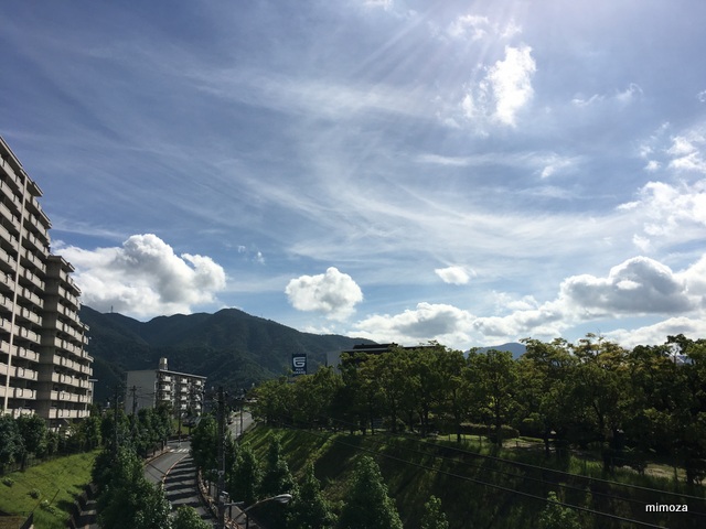 f:id:mimozaai:20190810224857j:plain f:id:mimozaai:20190810224857j:plain