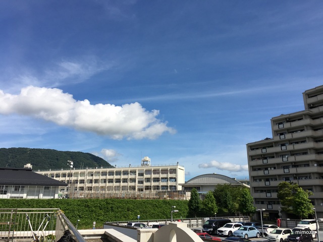 f:id:mimozaai:20190810224920j:plain f:id:mimozaai:20190810224920j:plain