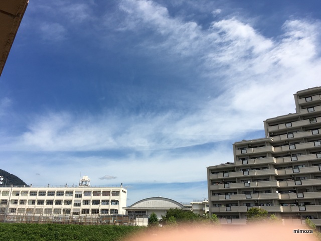 f:id:mimozaai:20190810224928j:plain f:id:mimozaai:20190810224928j:plain