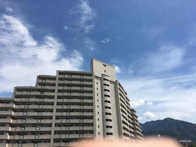 f:id:mimozaai:20190810224948j:plain f:id:mimozaai:20190810224948j:plain