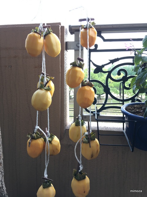 f:id:mimozaai:20191001230206j:plain