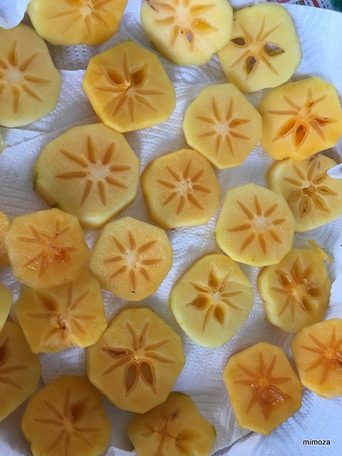 f:id:mimozaai:20191001230216j:plain