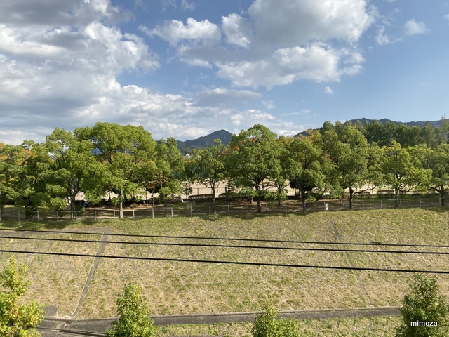 f:id:mimozaai:20191006204224j:plain