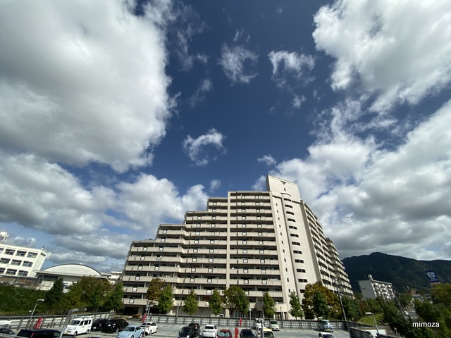 f:id:mimozaai:20191006204327j:plain