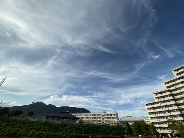 f:id:mimozaai:20191006204337j:plain