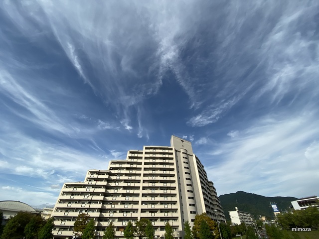 f:id:mimozaai:20191006204347j:plain