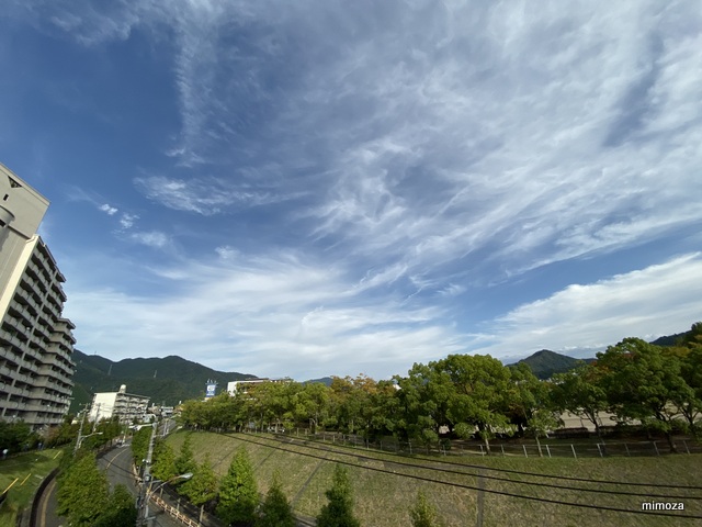 f:id:mimozaai:20191006204358j:plain