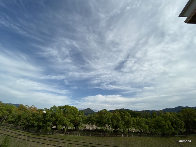 f:id:mimozaai:20191006204414j:plain