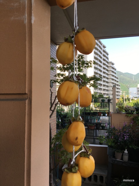 f:id:mimozaai:20191006204449j:plain