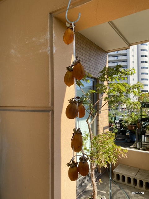 f:id:mimozaai:20191010212205j:plain f:id:mimozaai:20191010212205j:plain