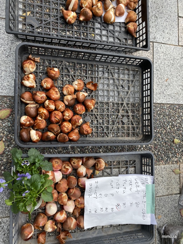 f:id:mimozaai:20191114202341j:plain f:id:mimozaai:20191114202341j:plain