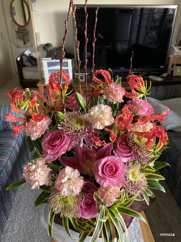 f:id:mimozaai:20191204222158j:plain f:id:mimozaai:20191204222158j:plain