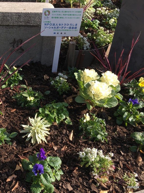 f:id:mimozaai:20191204222210j:plain f:id:mimozaai:20191204222210j:plain