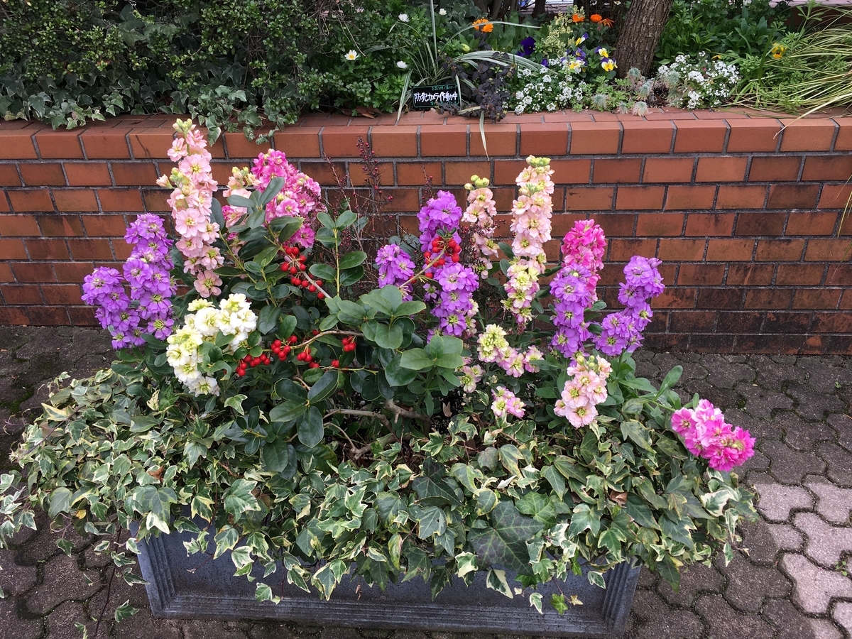 f:id:mimozaai:20200216215640j:plain