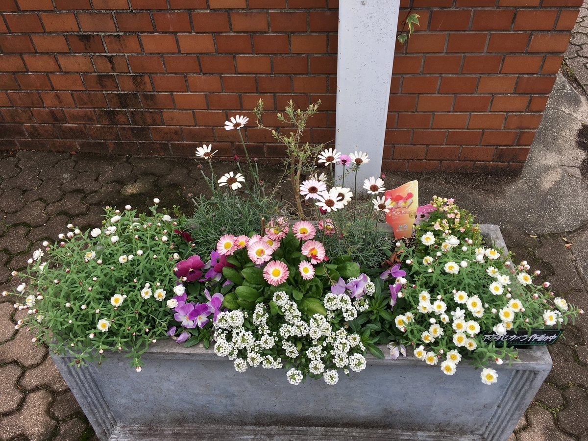 f:id:mimozaai:20200216220719j:plain