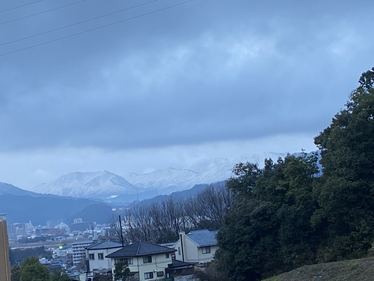 f:id:mimozaai:20200316062218j:plain