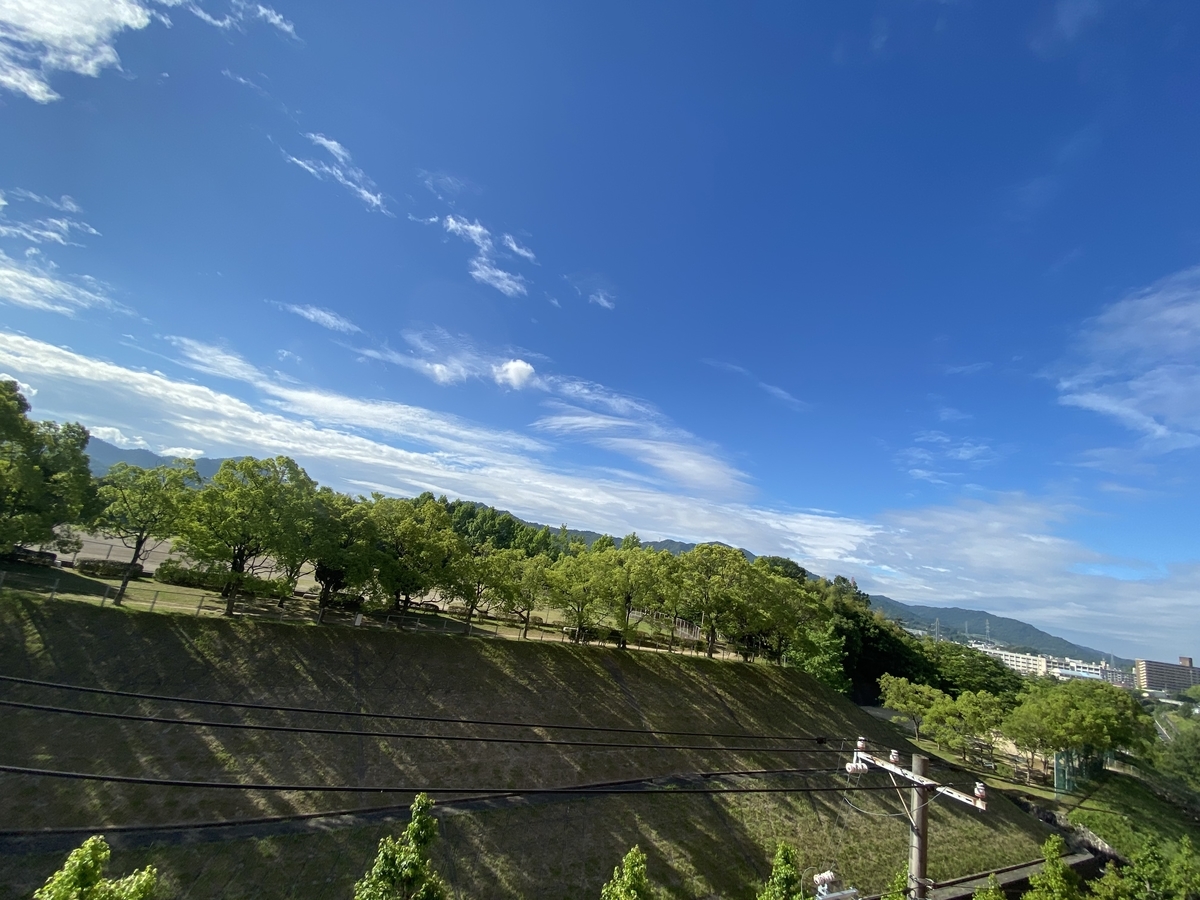 f:id:mimozaai:20200610193114j:plain f:id:mimozaai:20200610193114j:plain