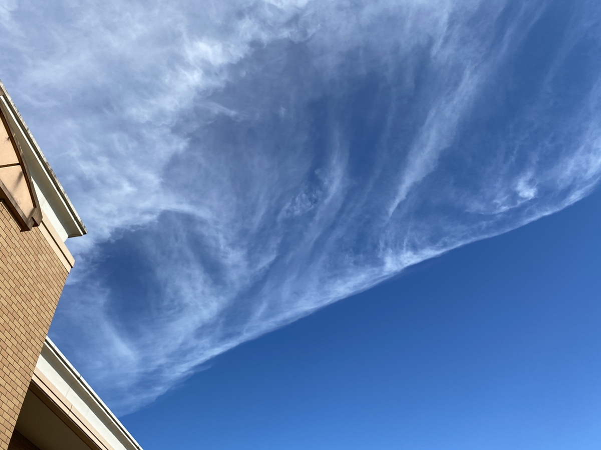 f:id:mimozaai:20200716200618j:plain