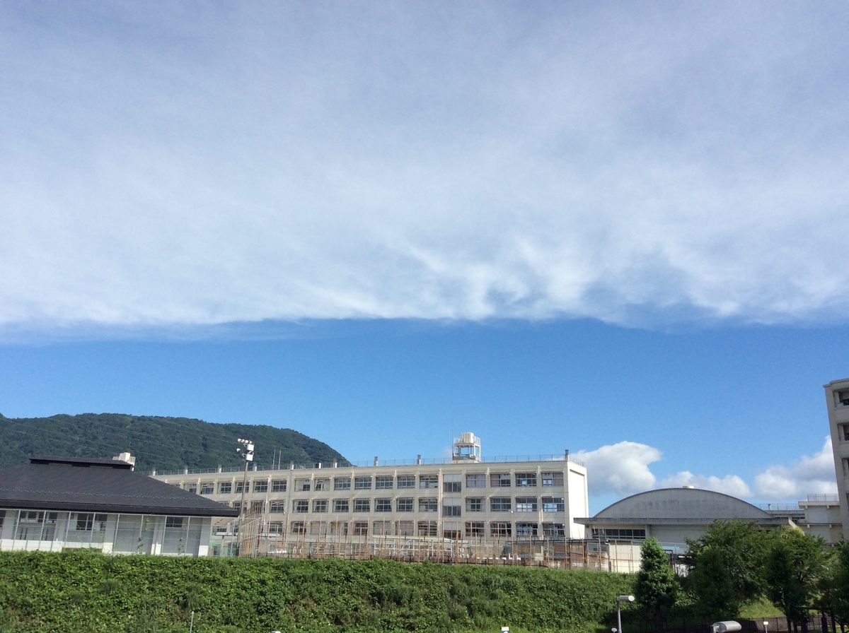 f:id:mimozaai:20200716204722j:plain