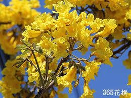 f:id:mimozaai:20200719193021j:plain