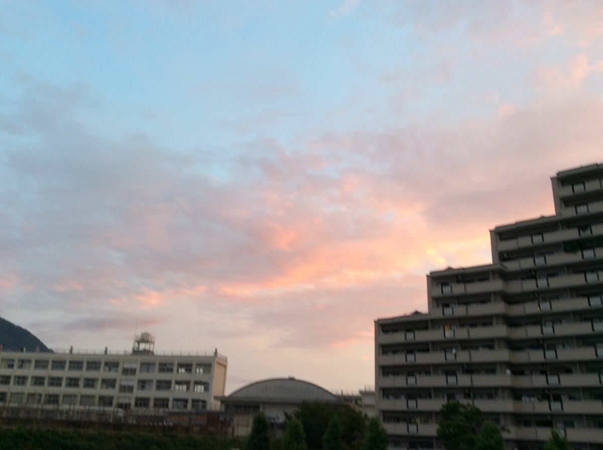 f:id:mimozaai:20200722201230j:plain