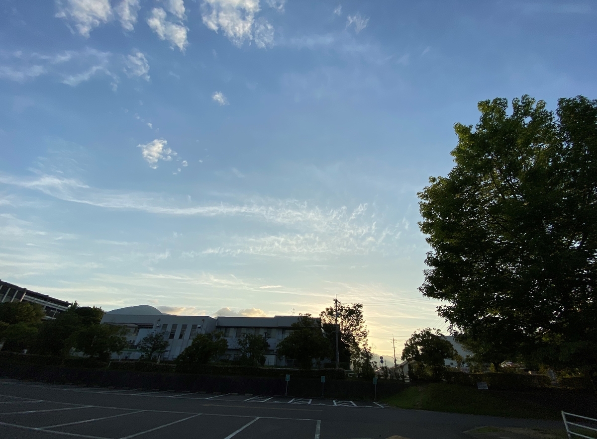 f:id:mimozaai:20200722203107j:plain