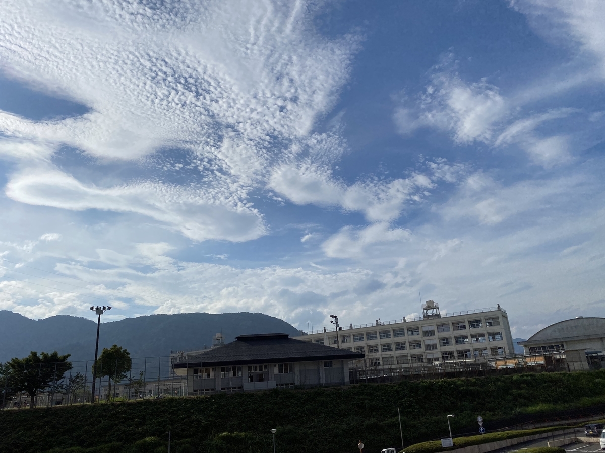 f:id:mimozaai:20200722203132j:plain