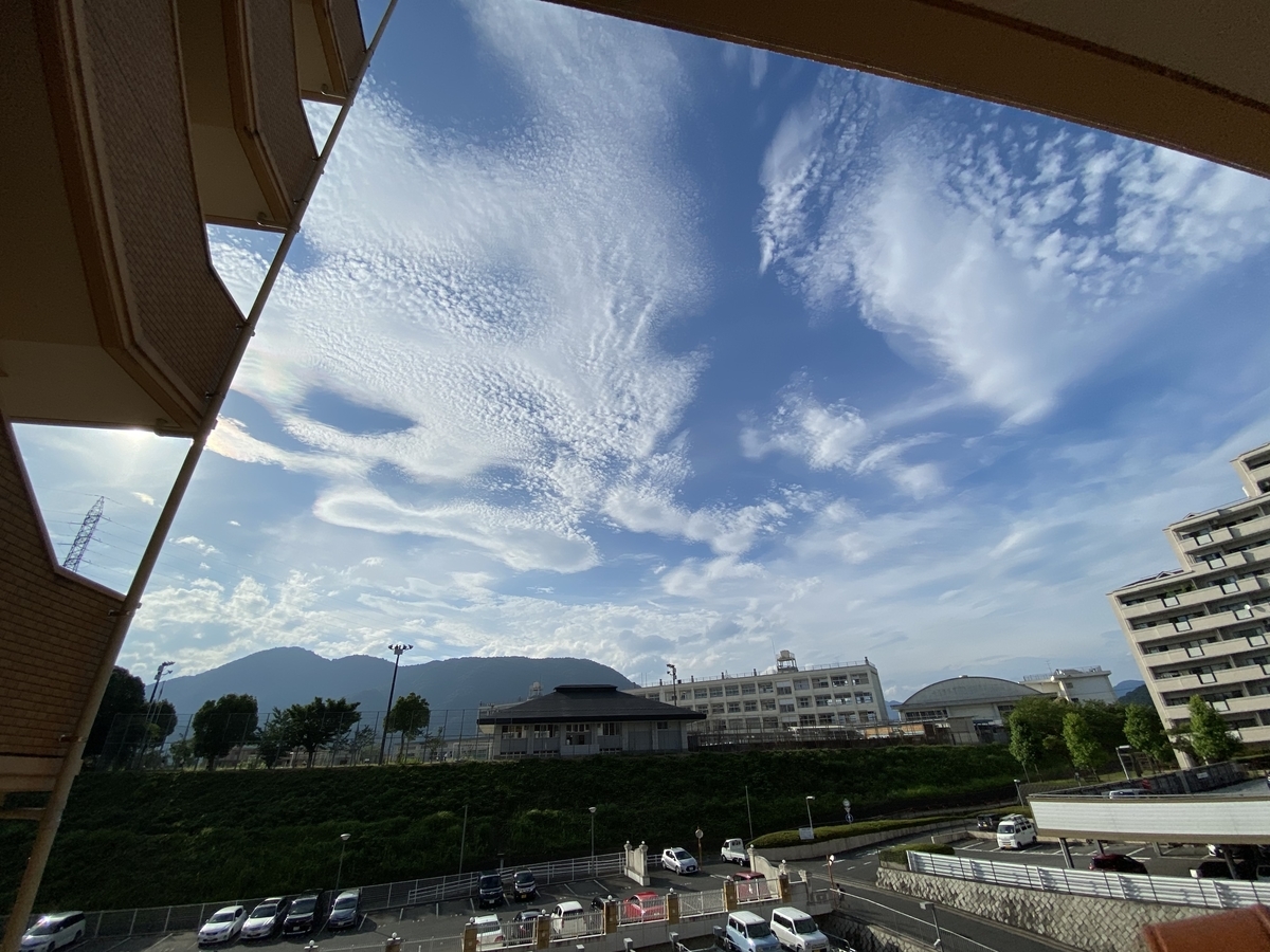 f:id:mimozaai:20200722203723j:plain