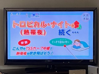 f:id:mimozaai:20200815182407j:plain