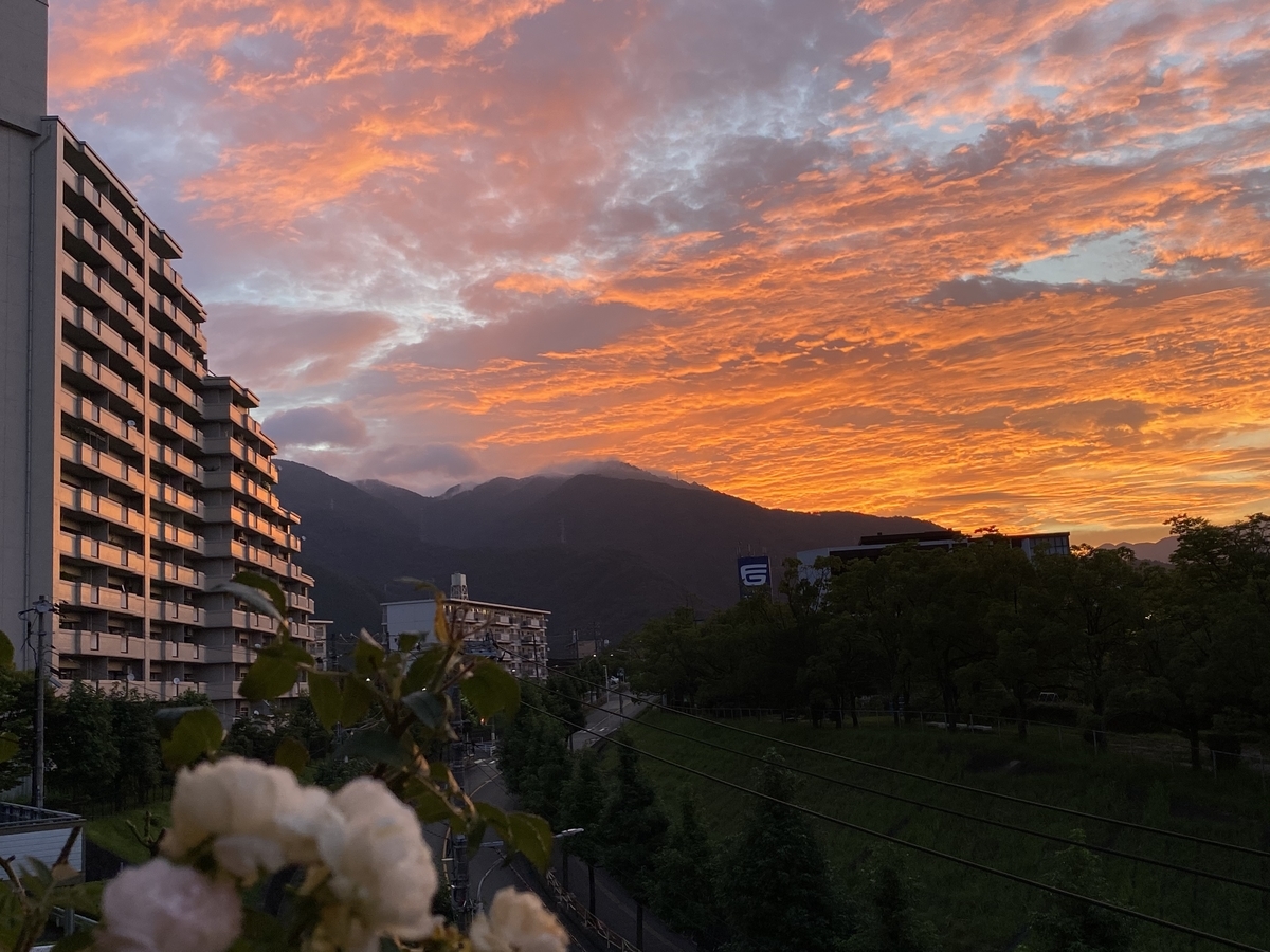 f:id:mimozaai:20200815182431j:plain