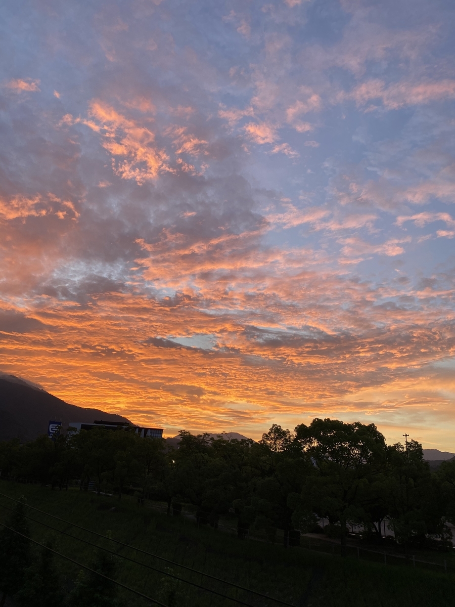 f:id:mimozaai:20200815182456j:plain