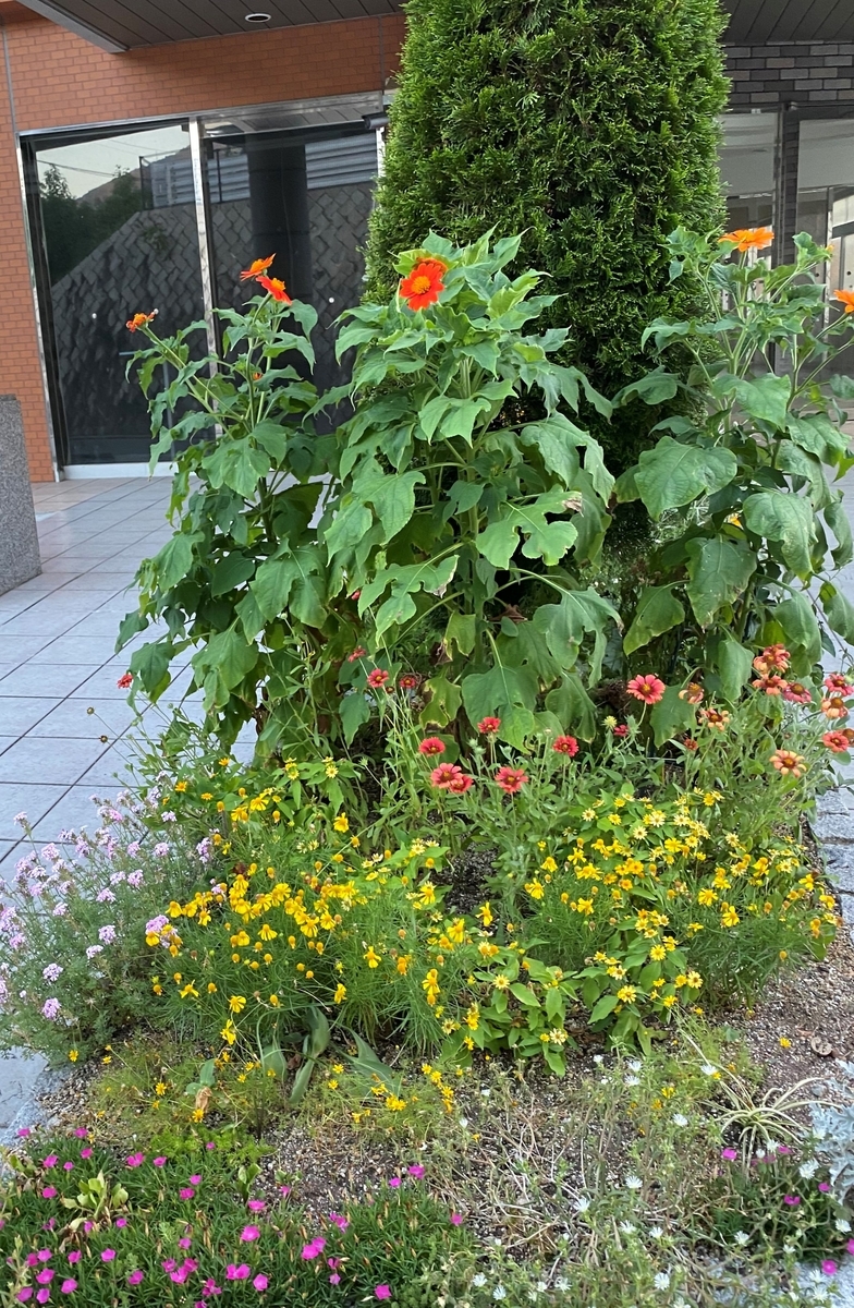 f:id:mimozaai:20200815195516j:plain