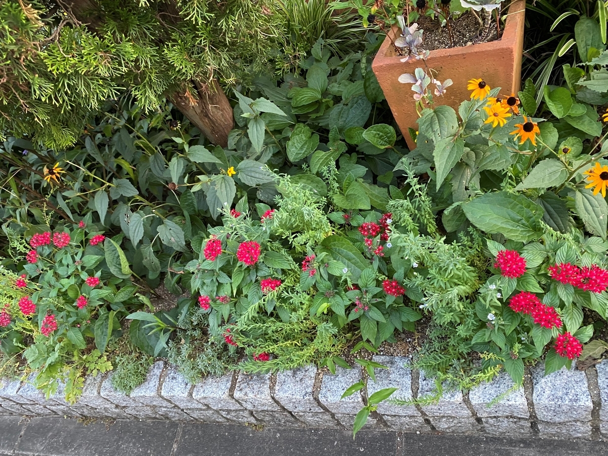 f:id:mimozaai:20200815195646j:plain