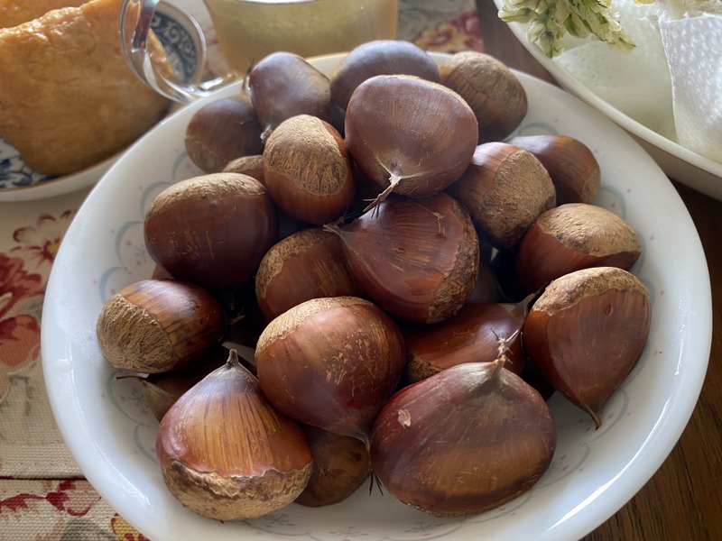 f:id:mimozaai:20200930190950j:plain