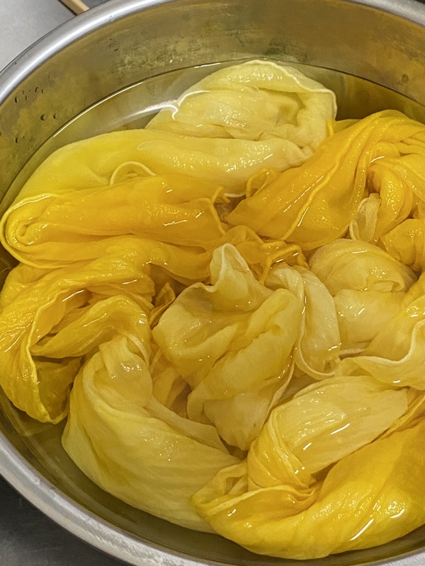 f:id:mimozaai:20200930191044j:plain