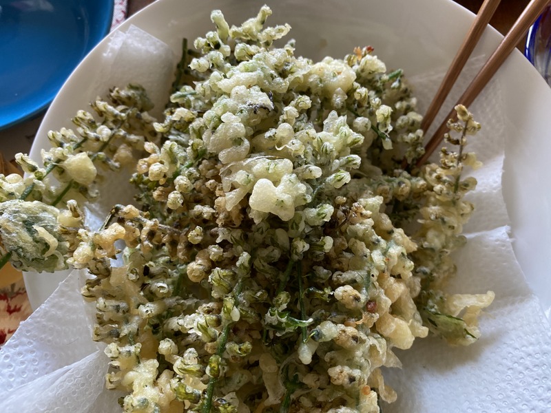 f:id:mimozaai:20200930195507j:plain