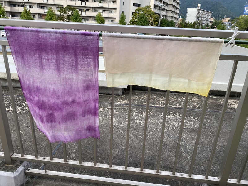 f:id:mimozaai:20200930200252j:plain