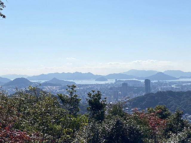 f:id:mimozaai:20201113192322j:plain