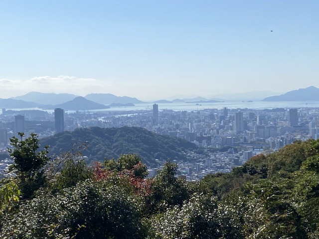 f:id:mimozaai:20201113192415j:plain