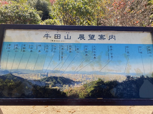 f:id:mimozaai:20201113192426j:plain