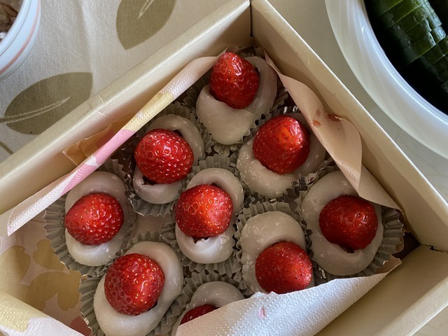 f:id:mimozaai:20210217191249j:plain