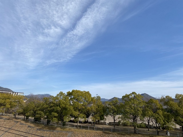 f:id:mimozaai:20210223200145j:plain