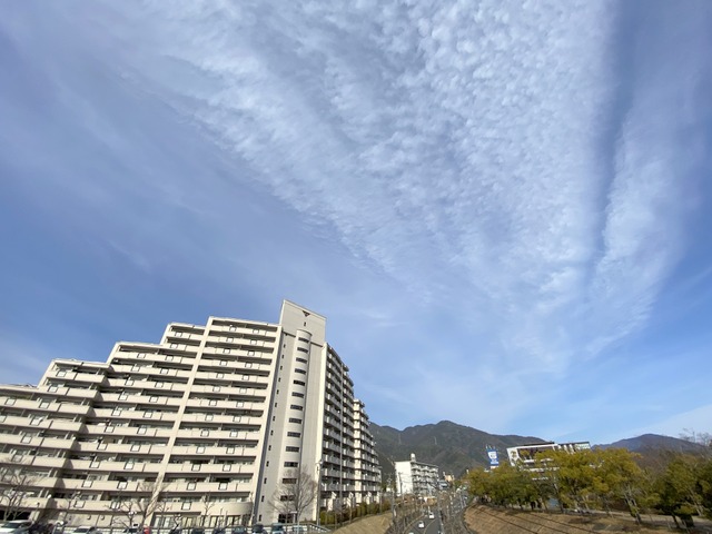 f:id:mimozaai:20210223200157j:plain