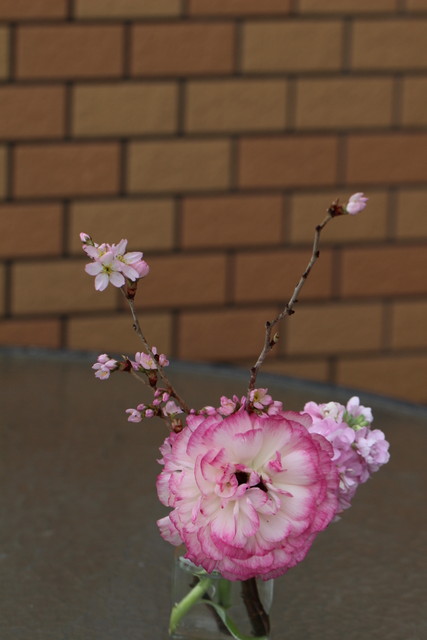 f:id:mimozaai:20210309213350j:plain