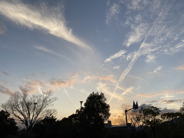 f:id:mimozaai:20210309220330j:plain