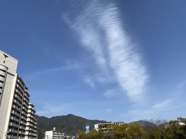 f:id:mimozaai:20210318204556j:plain