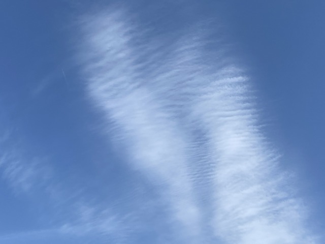 f:id:mimozaai:20210318204605j:plain