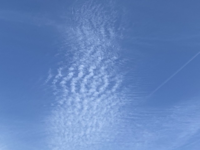 f:id:mimozaai:20210318204630j:plain