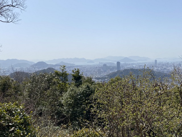 f:id:mimozaai:20210318204805j:plain