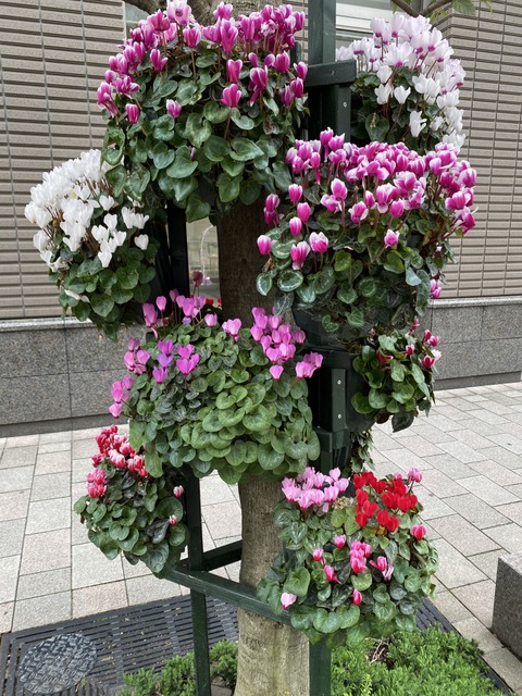 f:id:mimozaai:20210414212428j:plain